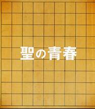 聖の青春 非売品プレス★松山ケンイチ 東出昌大 染谷将太 安田顕 柄本時生 リリー・フランキー★映画 試写会用 パンフレット aoaoya_画像2