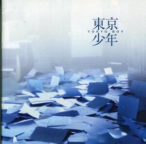 東京少年 非売品プレス★堀北真希 石田卓也 平田満 草村礼子★映画 試写会用 TOKYO BOY パンフレット aoaoya