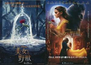  movie [ Beauty and the Beast ] photography version pamphlet & leaflet 3 kind *ema*watoson/ Dan * Stephen s/yu Anne *makrega-# pamphlet Flyer aoaoya