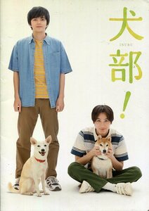 犬部！非売品プレス＆チラシ★林遣都 中川大志 大原櫻子 浅香航大 田辺桃子 安藤玉恵★映画 パンフレット フライヤー★aoaoya