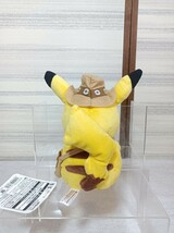 ポケモンセンター 2013 ぬいぐるみ ピカチュウ ポケモンアドベンチャーキャンプ ポケットモンスター Pokemon_画像2