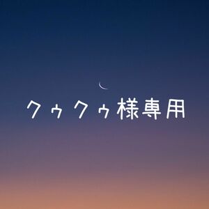 【クゥクゥ様専用】ピアスおまとめ2点