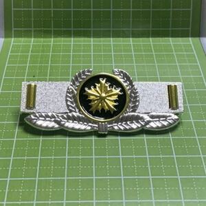 * rank insignia completely san asahi day chapter [..] photographing for site the first line . wide range . action . make floor class.. [ postage exhibitior charge ]