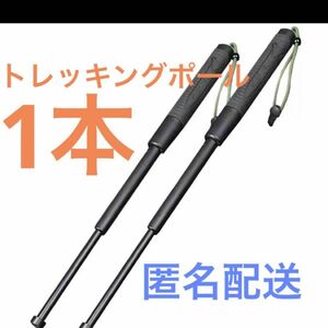 トレッキングポール 登山 アウトドア 折りたたみ 収納袋付き キャンプ