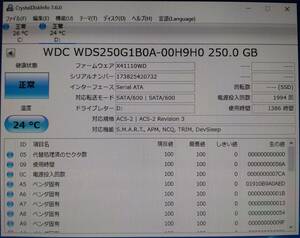 ウエスタンデジタル 内蔵SSD 250GBWD Blue