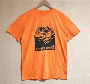 ラスト1着 未使用 THE NORTH FACE / ザ ノースフェイス NATURAL WONDERS 後染め Tシャツ L