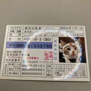 昭和レトロ 当時物 なめ猫 なめんなよ 暴走族 昭和 なめねこ ツッパリ ヤンキー なゃめるな にゃんだと 全日本暴猫連合 免許証 なめるなよ