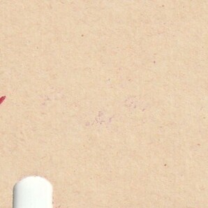 P380.東海道本線 立花から米原 柏原 高月 間ゆき 東海経由 56.12.16【0264】の画像2