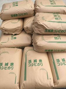 令和5年 茨城 茨城県産 JGAP認定農場　特別栽培米　こしひかり コシヒカリ 無農薬 2kg 低温貯蔵庫 精米済み 真空 ご飯