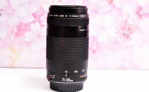 キヤノン望遠レンズ EF75-300mm Canon イベントに大活躍！