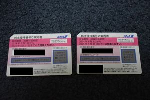 ANA(全日空)株主優待券 2枚+優待冊子セット(有効期間2025/05/31)