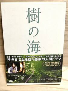 ★ 樹の海　　スペシャル・エディション　　ＤＶＤ　／　萩原聖人　　井川遥　　池内博之　　津田寛治　　塩見三省　　　　 　　　　即決。