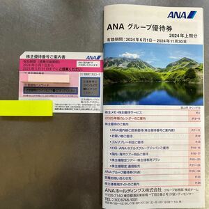 ANA 株主優待券1枚&グループ優待券1冊