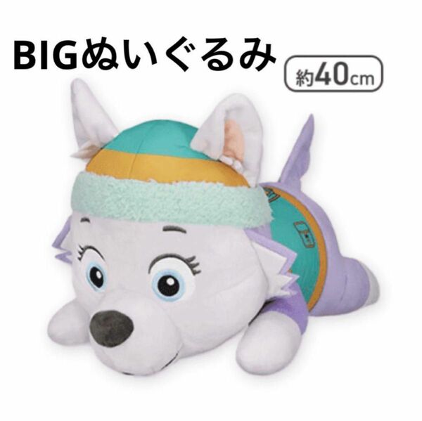 パウ・パトロール BIGぬいぐるみ エベレスト