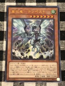 遊戯王 嵐征竜-テンペスト ウルトラレアカード