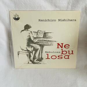 2008 EP Kenichiro Nishihara - Nebulosa .Tenorio Jr.