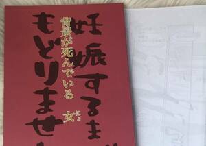 ＜＜名探偵コナン＞ 【妊娠するまでもどりません　女】安室透×赤井秀一　飼育小屋/玖　同人誌 安赤