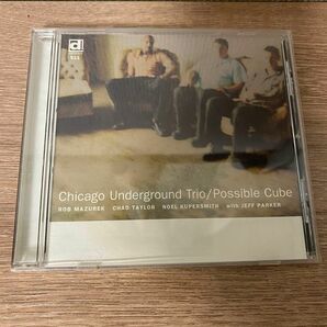 Chicago Underground Trio - Possible Cube