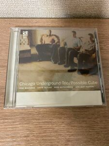 Chicago Underground Trio - Possible Cube