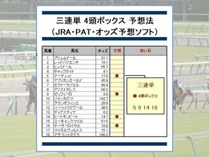 __ three ream single .248 ten thousand jpy ... horse racing expectation law __ recovery proportion 345%~1740%__(JRA*PAT* expectation soft )