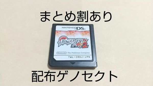 ポケットモンスター ホワイト2 Nintendo ニンテンドー DS 動作品 まとめ割あり 2