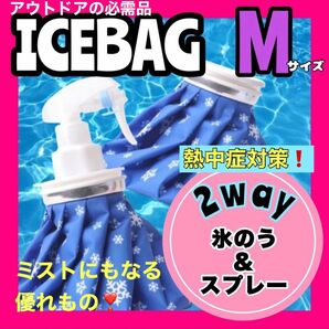 氷のう 氷嚢 M アイスバッグ アイシング スプレー 冷温両用 熱中症対策　熱中症予防　暑さ対策　アウトドア　キャンプ　BBQ