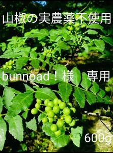 山椒の実　農薬不使用　600g　bunnoad様　専用