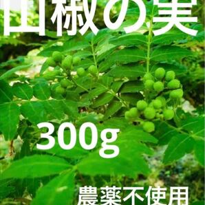 山椒の実　農薬不使用　300g