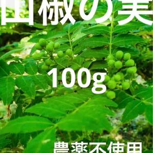 山椒の実　農薬不使用　100g