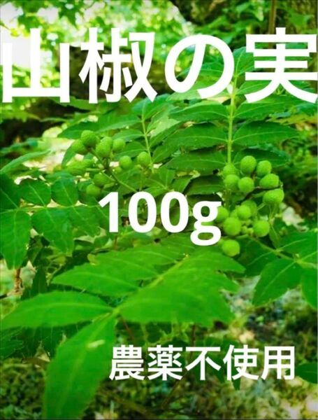 山椒の実　農薬不使用　100g