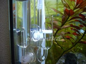 ** аквариум сопутствующие товары стеклянный CO2 диффузор маленький type модель 20φ**