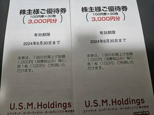 マルエツ　U.S.M.Holdings 株主優待券　6000円分