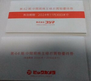 ビックカメラ、コジマ株主優待3000円分【送料無料】