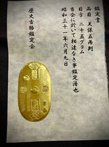 (鑑定書)天保五両判　　重さ約25g　コレクション　古銭　アンティーク　大判　小判　貨幣_画像1