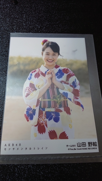 AKB48 センチメンタルトレイン 劇場盤 特典 生写真 山田野絵