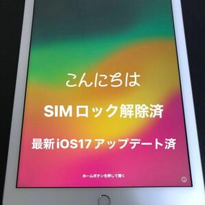 iPad 2018 第6世代 WiFi Cellularモデル 32GB #052503