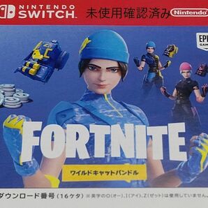 Switch FORTNITE Special フォートナイト スペシャル セット 特典 ワイルドキャットバンドル コード 用紙