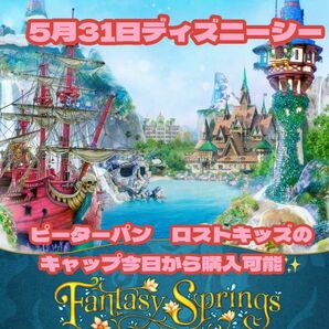 5月31日ディズニーシー　チケット　ファンタジースプリングスグッズ