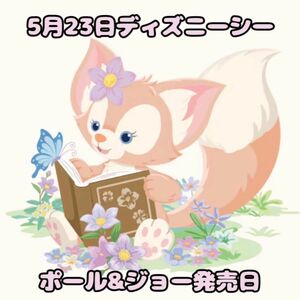 5月23日ディズニーシー　ディズニーチケット　リーナベル　ポール&ジョー　ダッフィー