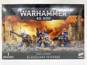 F-65-020 未開封品☆WARHAMMER 40,000 ウォーハンマー SPACE MARINES BLADEGUARD VETERANS スペースマリーン：ブレイドガード・ベテラン