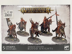 F-65-041 未組立品☆WARHAMMER AGE OF SIGMAR ウォーハンマー エイジ・オヴ・シグマー SOULBLIGHT GRAVELORDS: BLOOD KNIGHTS