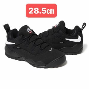 Supreme × Nike SB Darwin Low Black 28.5㎝
