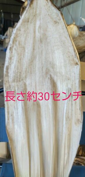 天然　真竹の皮　竹皮　ハンドメイド材料