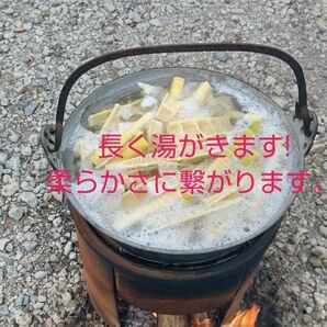 熊本県産　こさん筍使用　乾燥筍　干したけのこ　８０ｇ