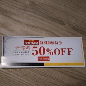 カラオケ　ビッグエコー　５０%オフ　特別御優待券　2024.7.24迄　店舗限定チケット　★デジタルチケットではありません