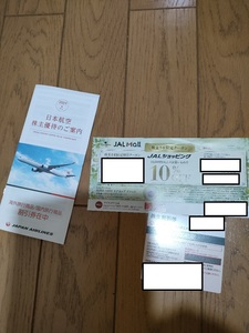 最新JAL 日本航空 株主優待券 1枚 2025年11月31日まで有効 
