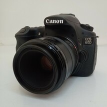 Canon EOS 60D MACRO LENS EF 50mm f/2.5 デジタル 一眼レフカメラ ボディ レンズセット YB831_画像1
