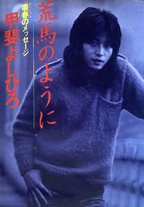 甲斐よしひろ　「荒馬のように」　自伝　ミスターハングリー・凄春のメッセージ！　　1979年（第一刷）　　集英社