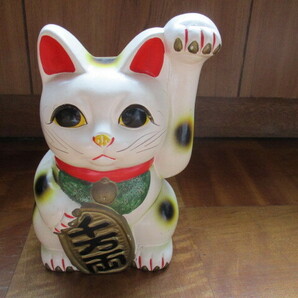 招き猫 白猫　１９cm　磁器置物 商売繁盛縁起物人形郷土玩具