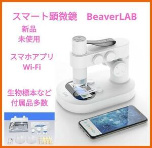 スマート顕微鏡　デジタル顕微鏡　スマホ 撮影　標本付き　ビーバーラボ